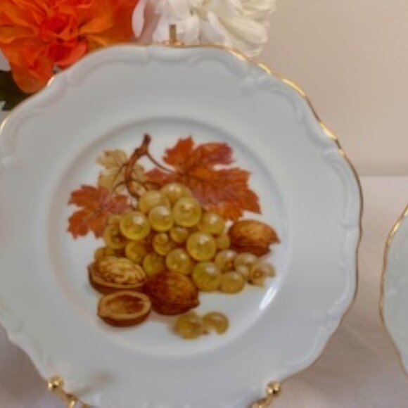 Vintage Winterling Roslau Bavaria Germany Fruit Motif Plate Set – Gold T… - Picture 7 of 8